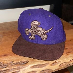 Toronto Raptors Wool Mitchell & Ness Throwback Hat
